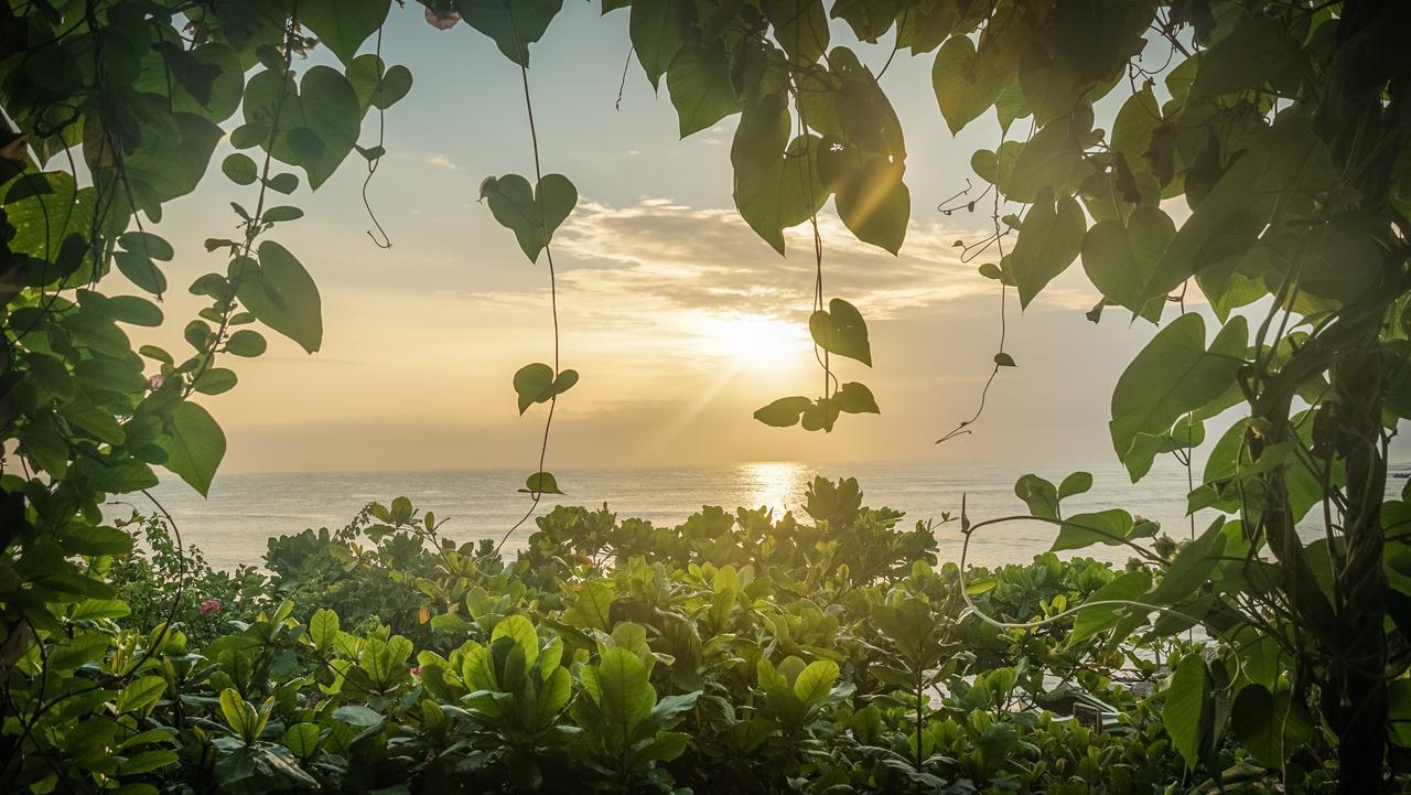 Bay Vista Hotell Arugam Bay Rum bild